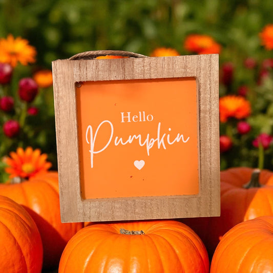 Autumn 🍂/ Halloween accessories
